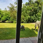 Ardilaun Self Catering Gæstehus Ennis